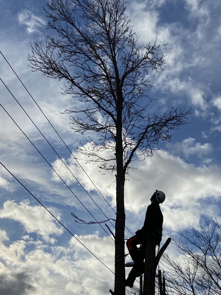 The current image has no alternative text. The file name is: d37344f5-b91d-469d-b429-0e433bd51976-1.jpeg